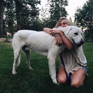 Meet your Posher, Anna